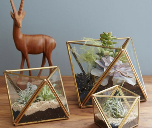 Faceted Terrarium, Mini, west elm